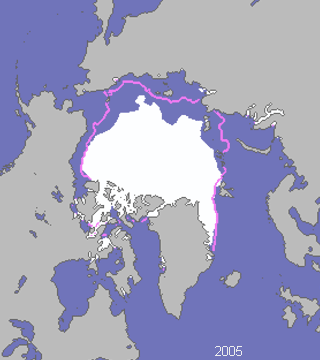 Arctic sea ice 2005