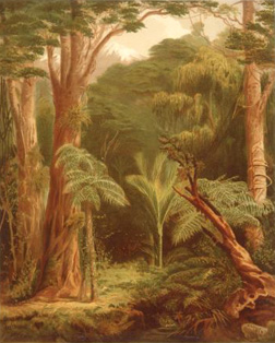 John Gully, New Zealand forest vegetation